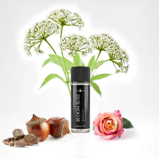 Aromely Bloom Bliss diffuser oil 20ml bottle with rose, white flowers, wood and acorn notes