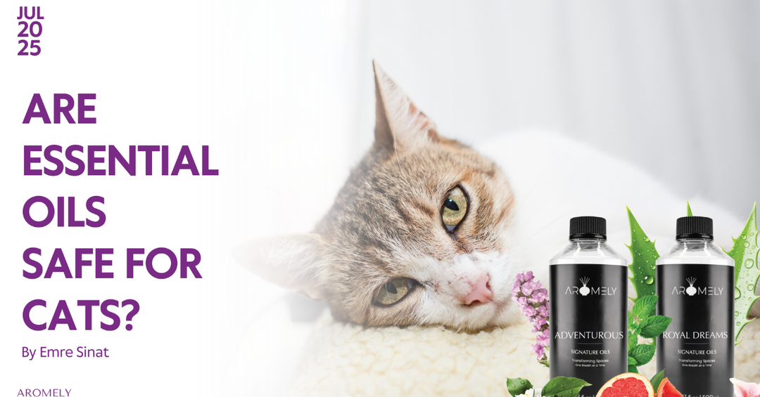 Are Essential Oils Safe for Cats? - What You Need to Know