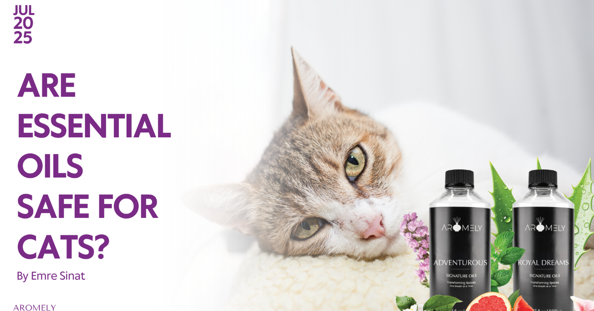 Are Essential Oils Safe for Cats? - What You Need to Know