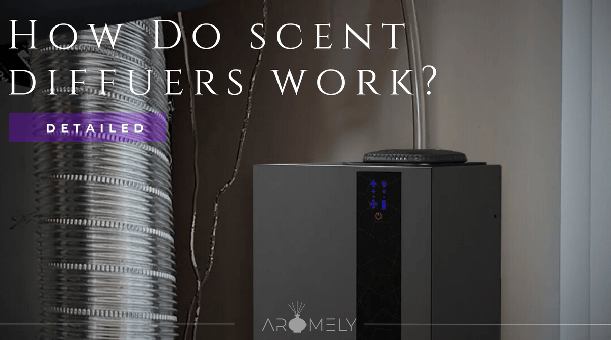How Do Aromely Scent Diffusers Work?