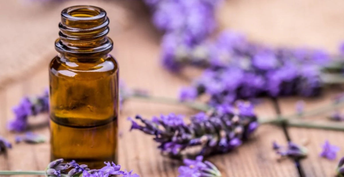 Top Scents For Helping To Reduce The Spread Of Colds And Flu