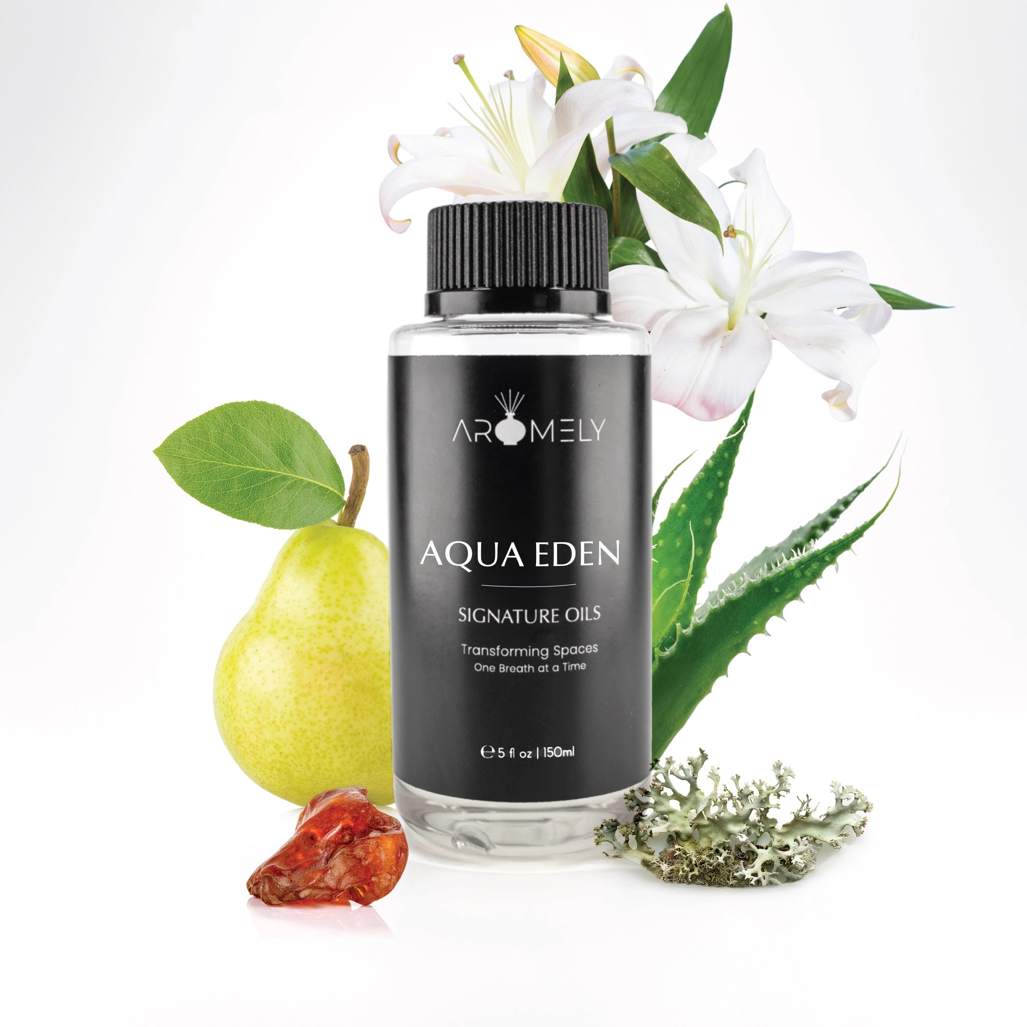 Aqua Eden Inspired by Maldives Private Retreats®