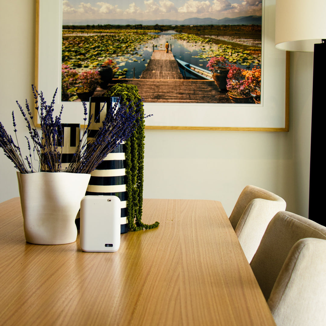 Aromely ARO-X25 Smart Aroma Diffuser on a wooden dining table with a scenic landscape photo hanging on the wall in the background.