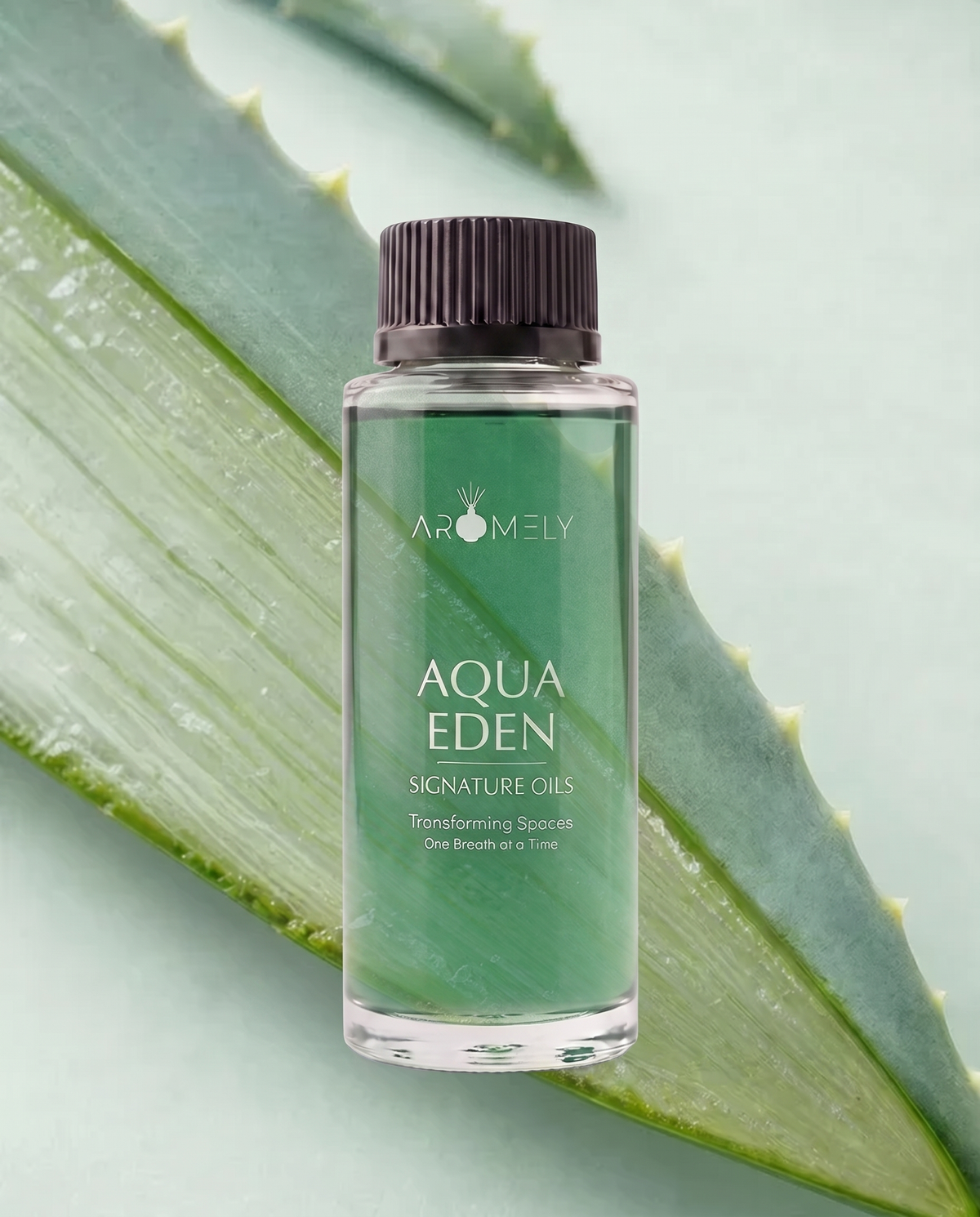 Aqua Eden Inspired by Maldives Private Retreats®