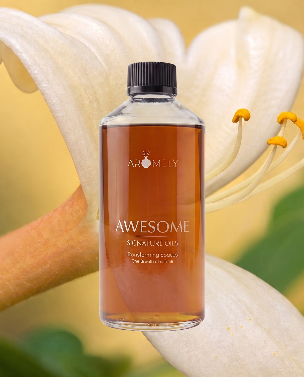 Awesome - Inspired by NIZUC® Resort & Spa Cancun
