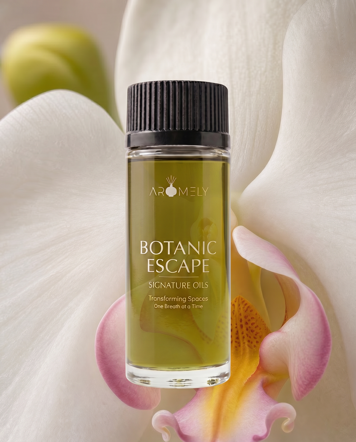 Botanic Escape - Inspired by Las Vegas Botanical Gardens®