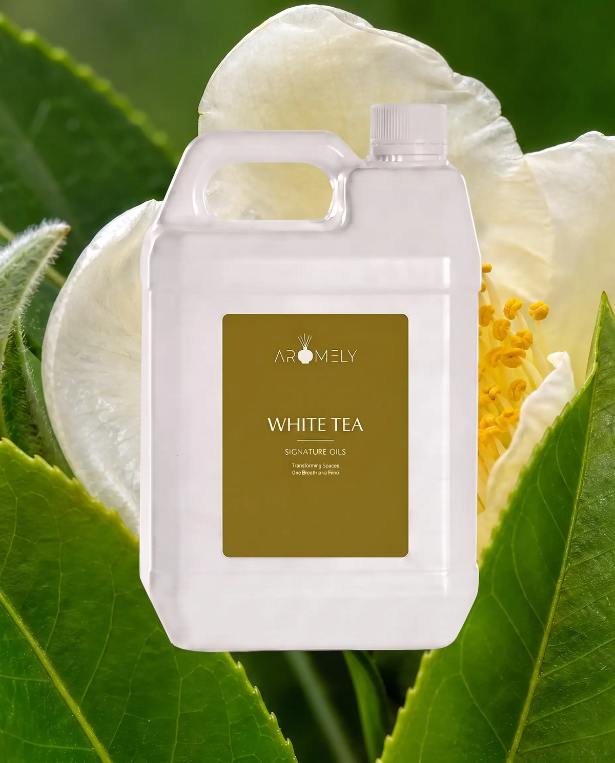 A large translucent white plastic bottle labeled 'AROMELY WHITE TEA SIGNATURE OILS' centered over a white flower and green leaves background.