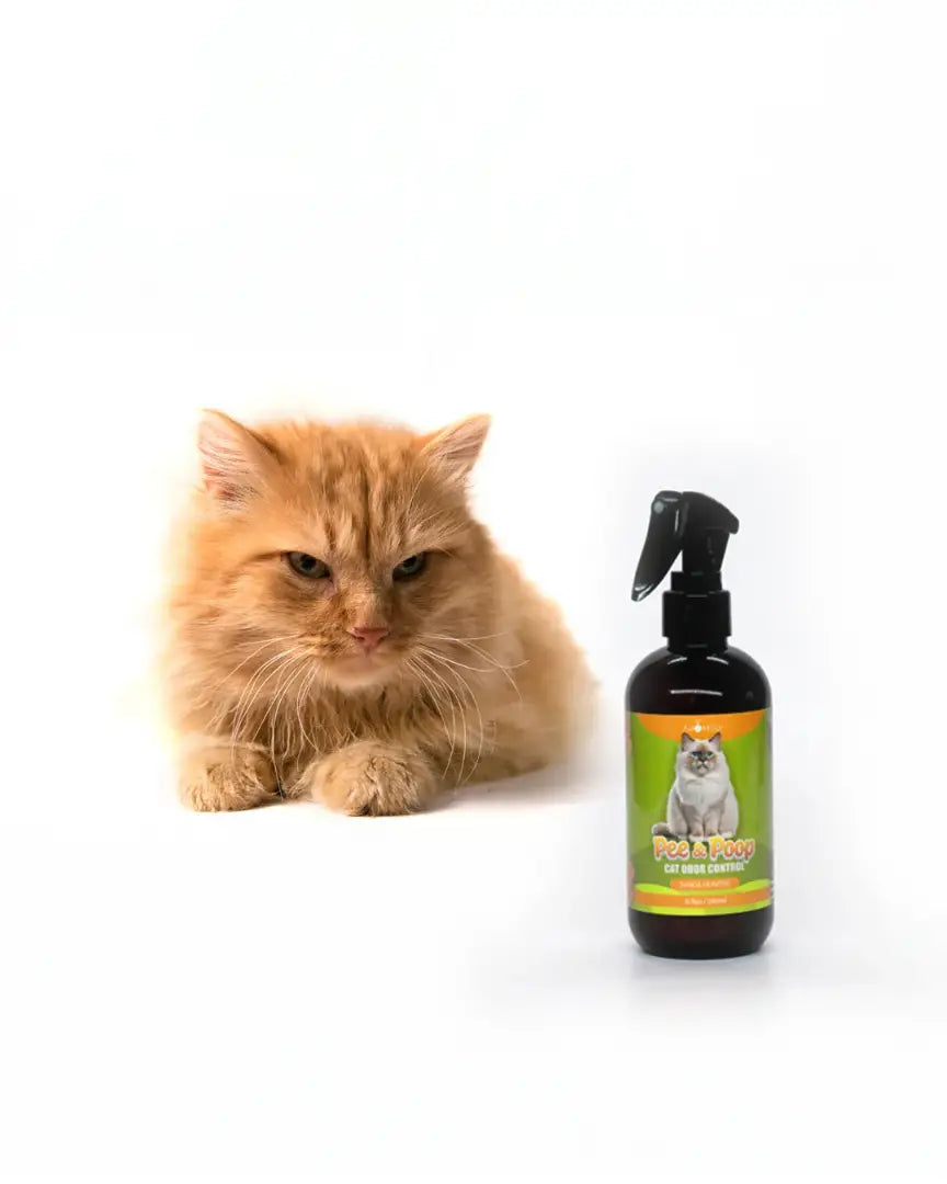 Pets Odor Eliminator Spray
