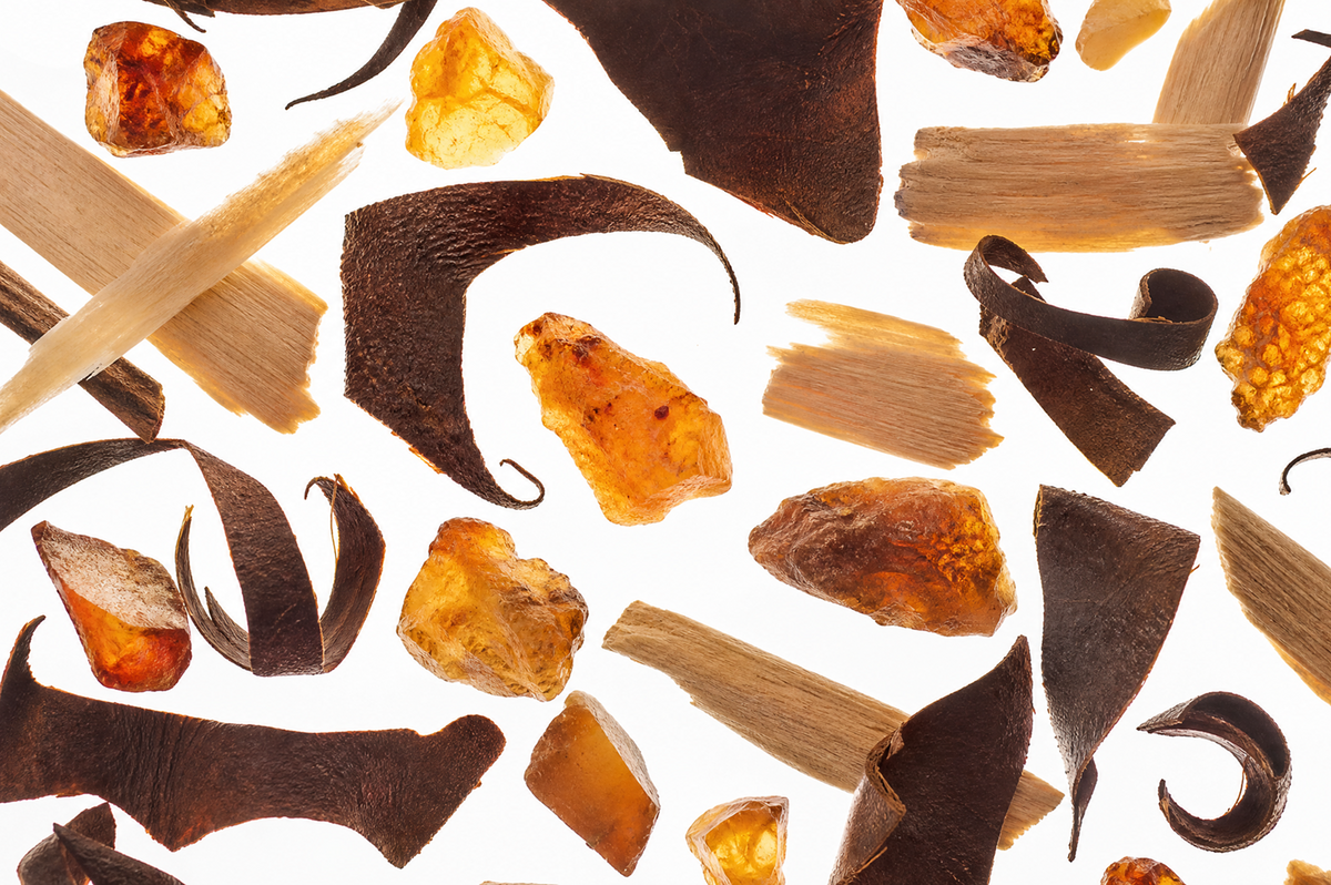 Santal - Inspired by Santal 33®