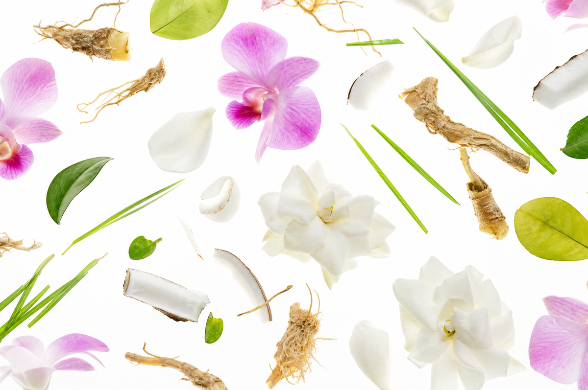 Botanic Escape - Inspired by Las Vegas Botanical Gardens®