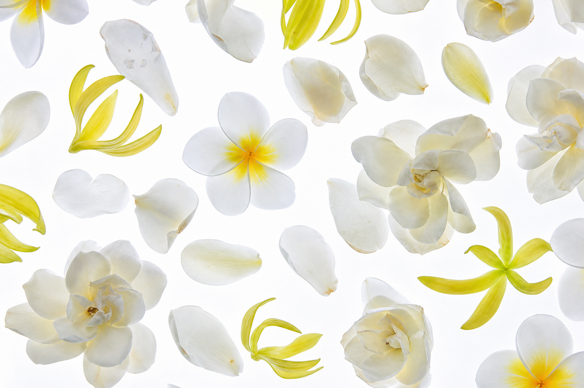 Gardenia Whisper - Inspired by Mont-Blanc Natural Resort®
