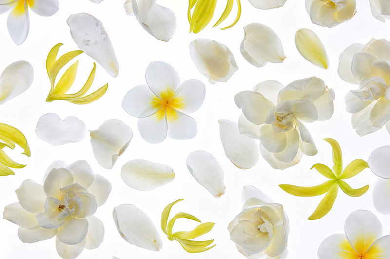 Gardenia Whisper - Inspired by Mont-Blanc Natural Resort®