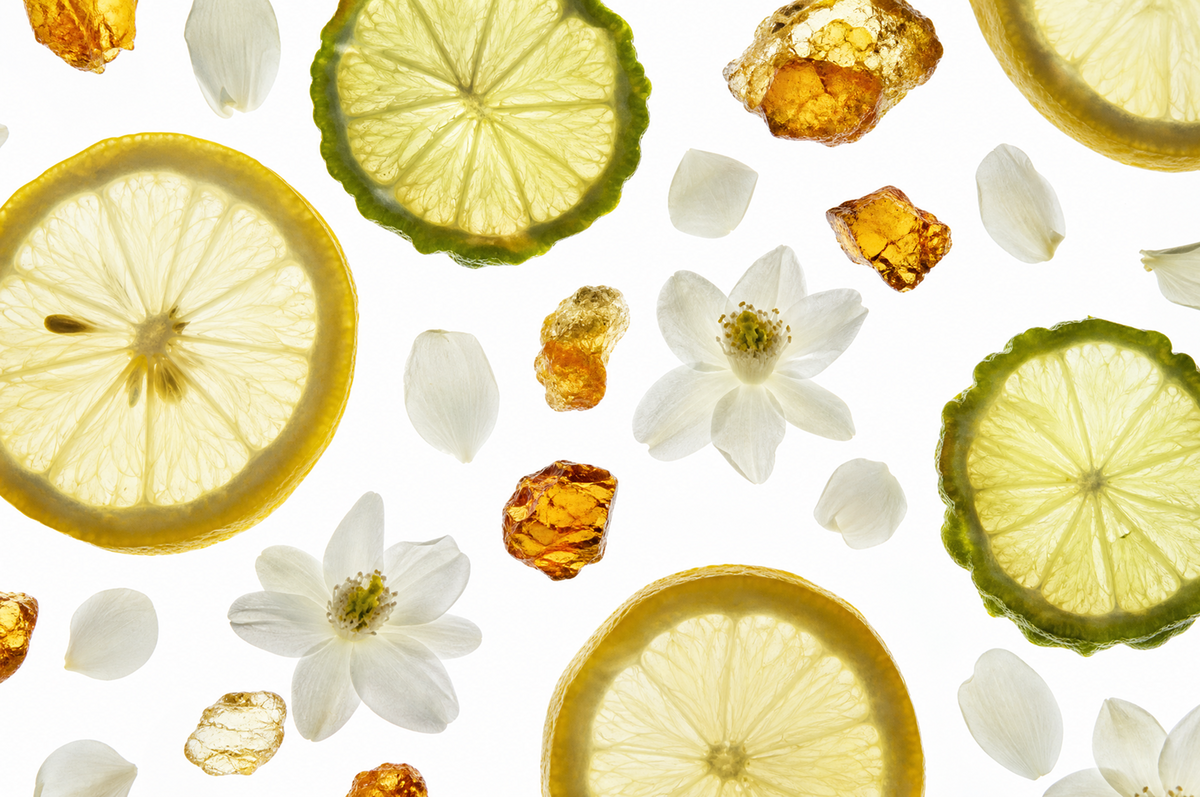 Citrus slices, white flowers and amber-colored stones illustrating Ocean Desire scent notes