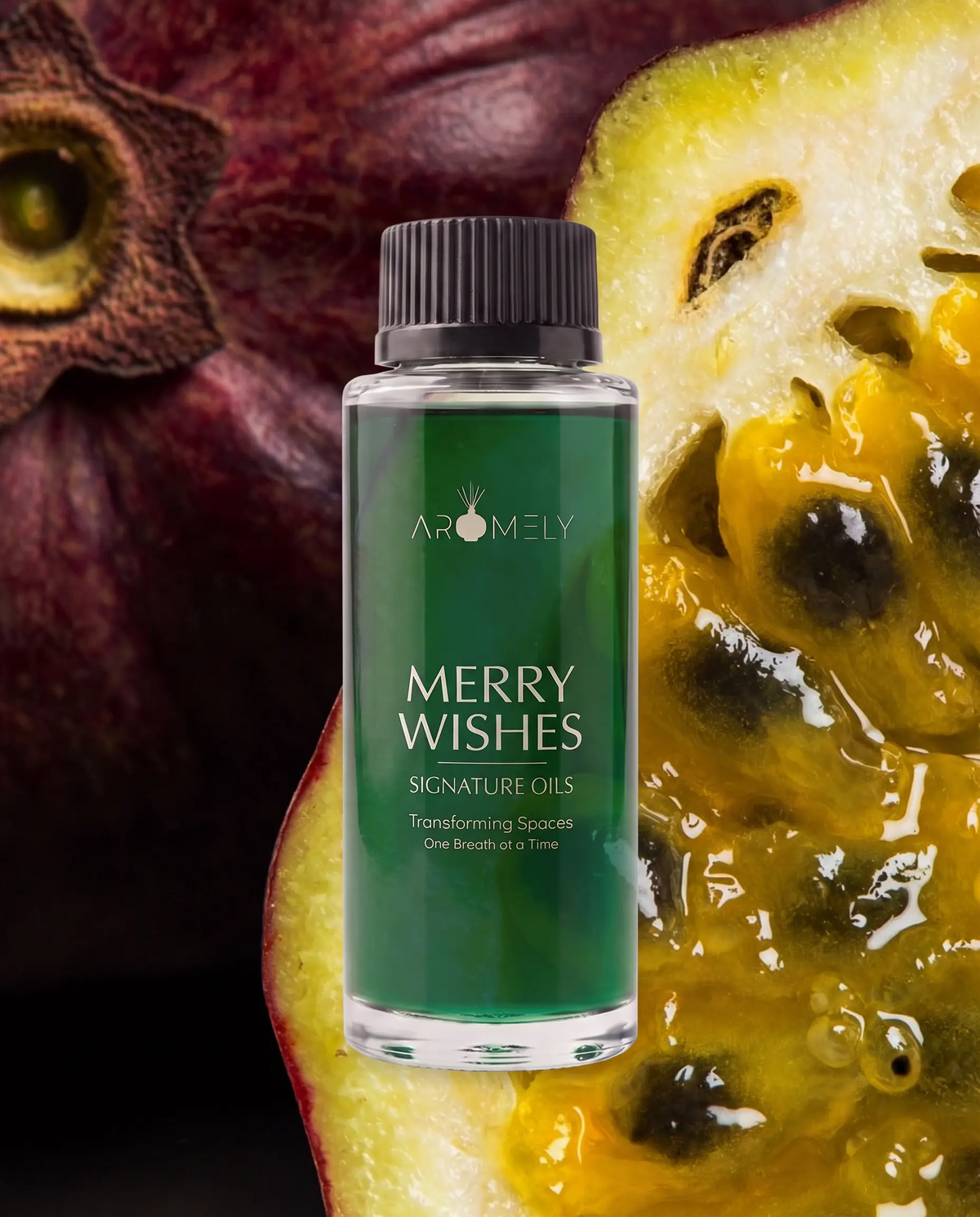 Merry Wishes Fragrance Oil - Limited Edition