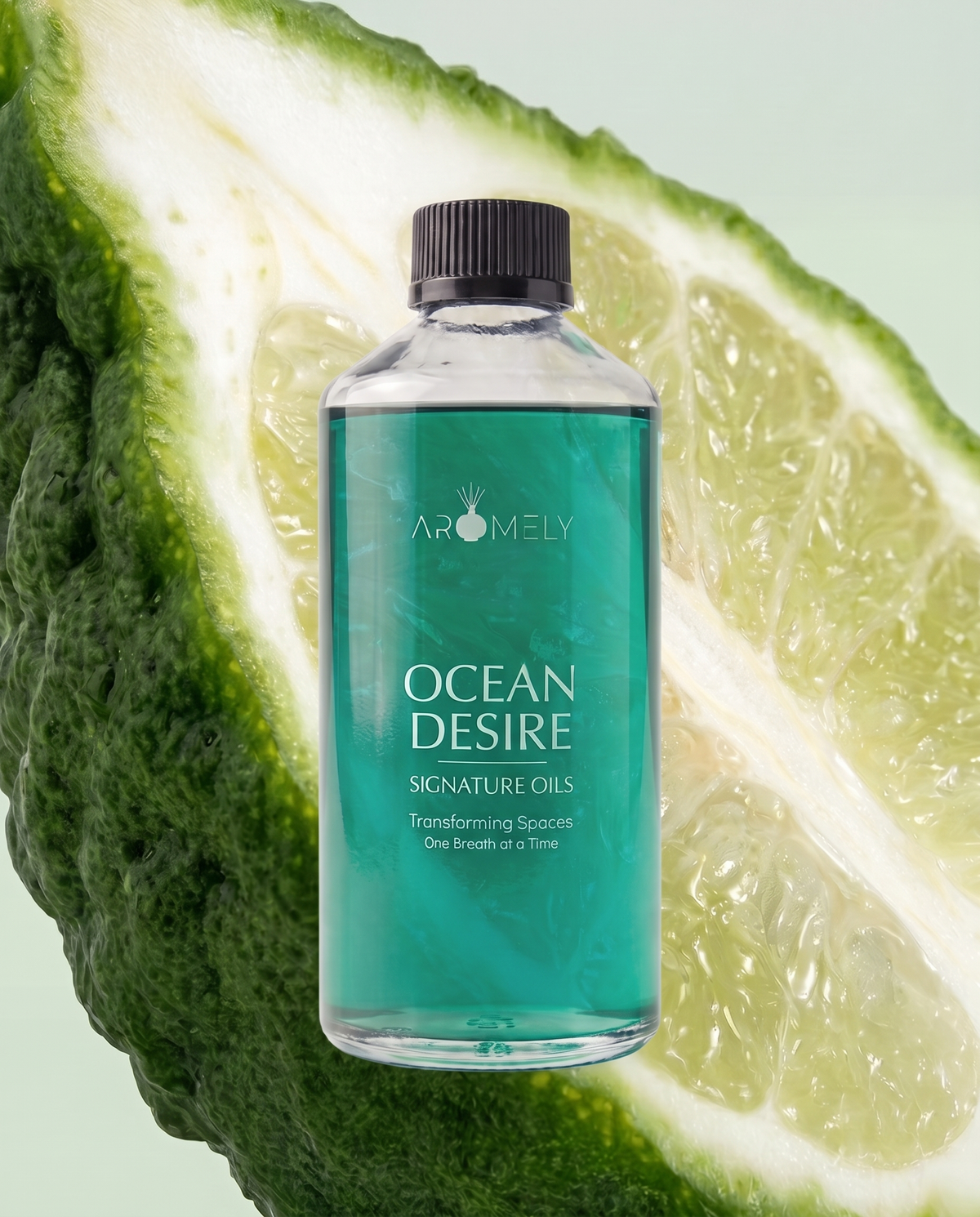 [500ml]