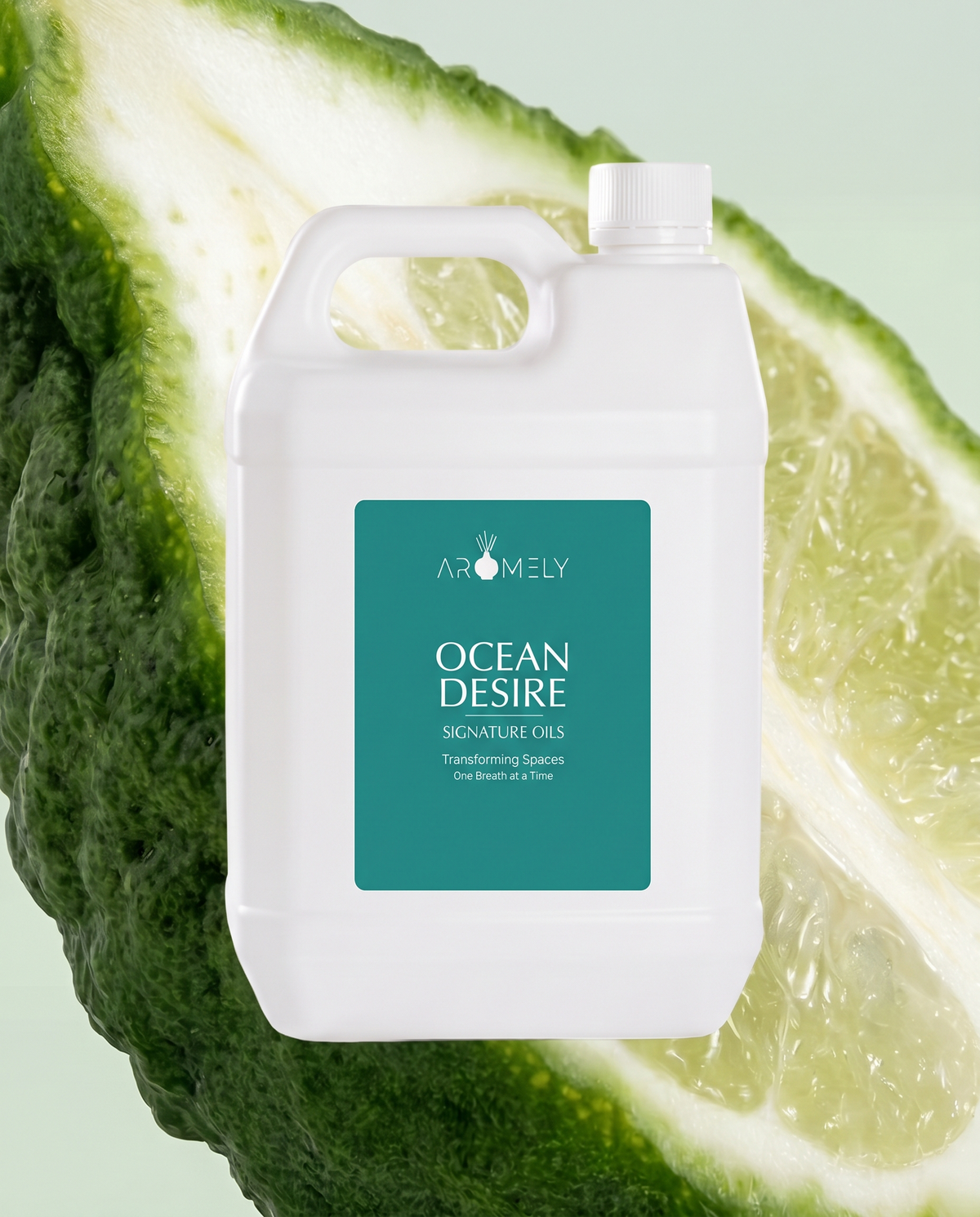 [1 Gallon]