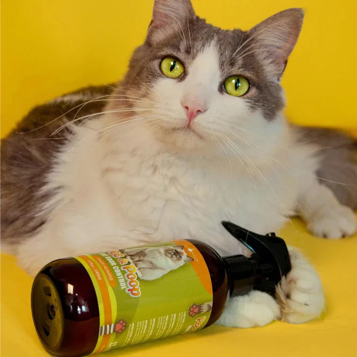 Gray and white cat resting on yellow background with Aromely Pee & Poop Cat Odor Control spray bottle, Sands Heavens scent, 8 fl oz, held under paw