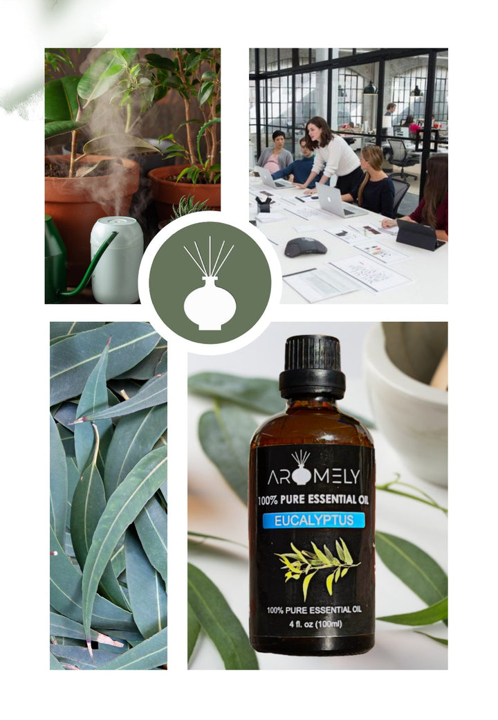 Eucalyptus Essential Oil - AROMELYEUC-100