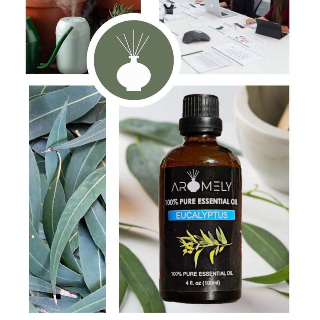 Eucalyptus Essential Oil - AROMELYEUC-100